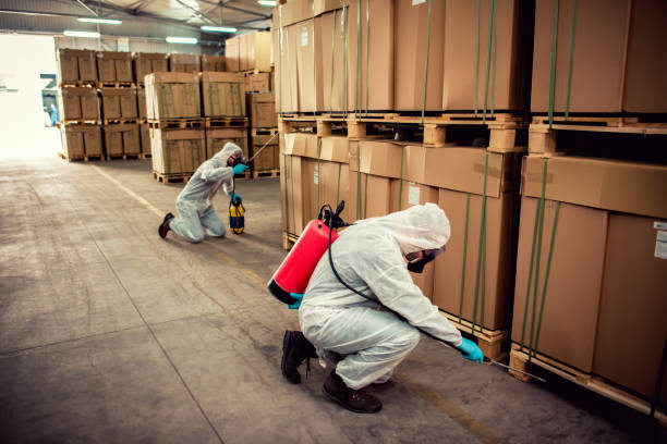 Best Affordable Pest Control Services  in Rancho Santa Margarita, CA