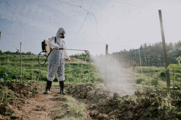 Best Commercial Pest Control Services  in Rancho Santa Margarita, CA