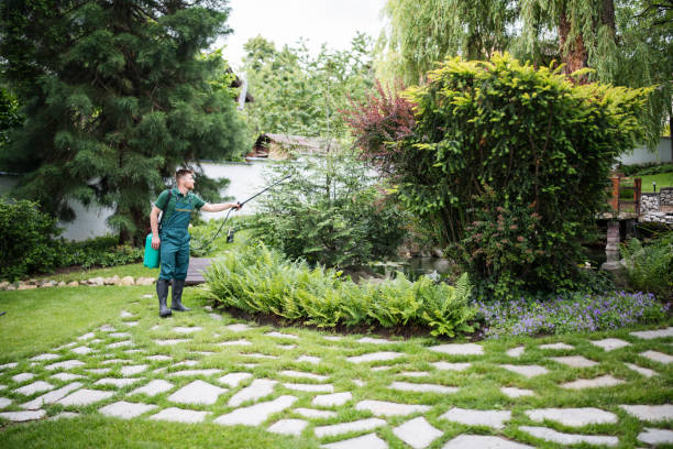 Best Commercial Pest Control Services  in Rancho Santa Margarita, CA