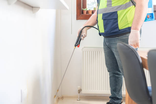 Best Mosquito Control Services  in Rancho Santa Margarita, CA