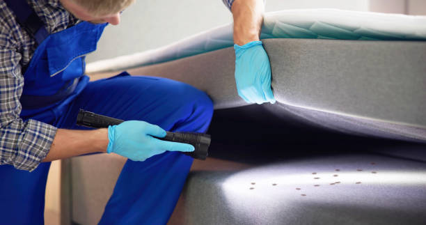 Best Best Pest Control Companies  in Rancho Santa Margarita, CA